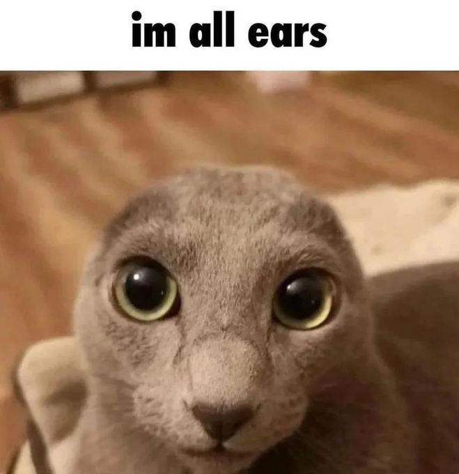 im all ears