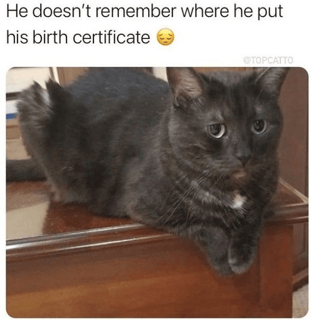 He doesn't remember where he put his birth certificate @TOPCATTO