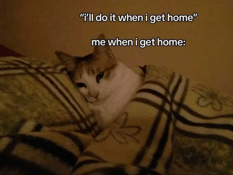 "i'll do it when i get home" me when i get home: