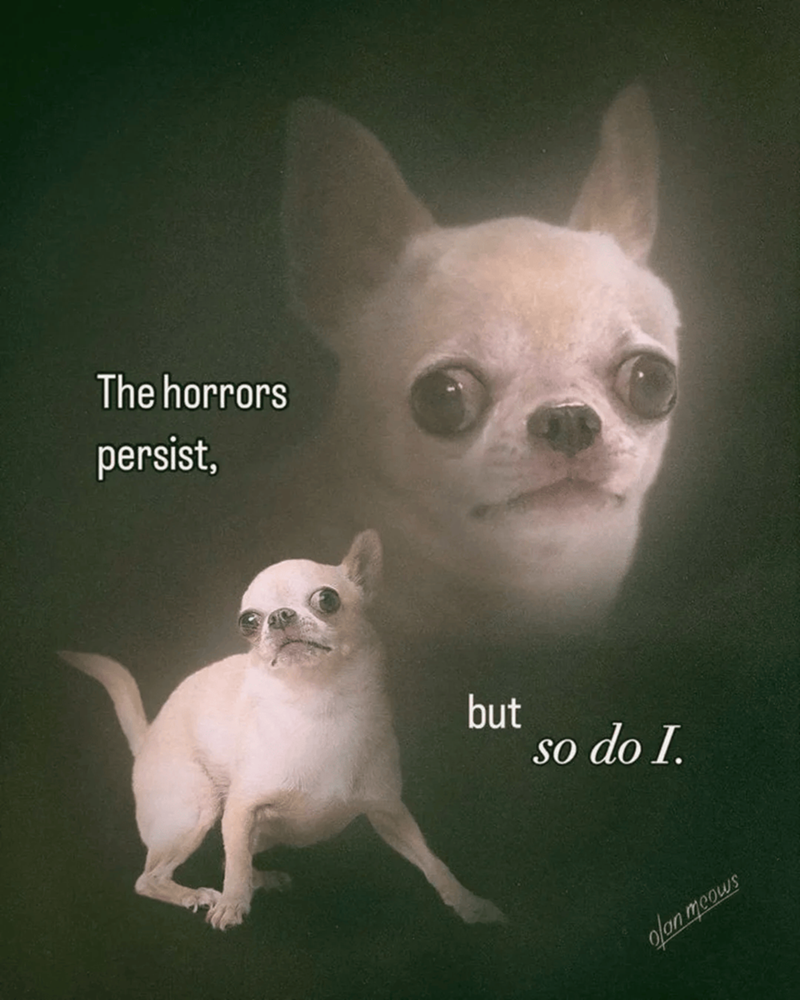 The horrors persist, but so do I. olan meows