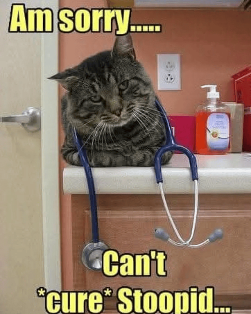 Am sorry..... 17 Can't *cure* Stoopid...