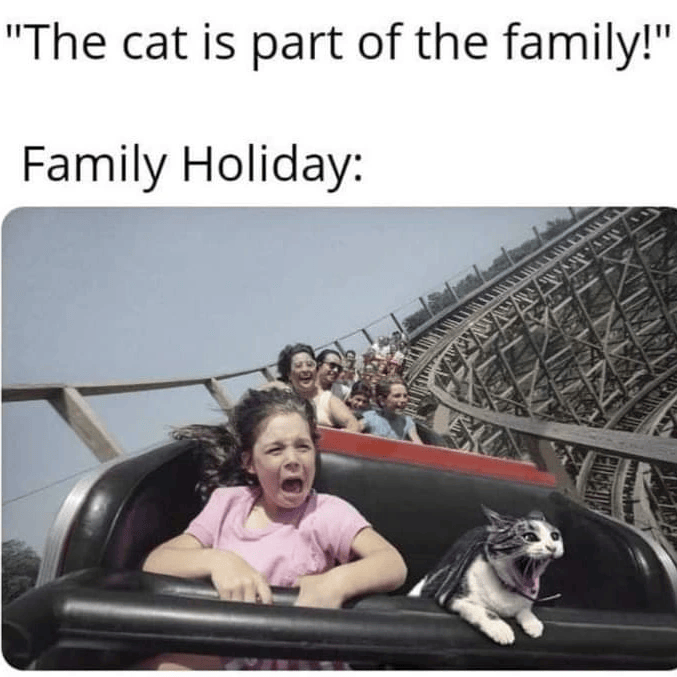 "The cat is part of the family!" Family Holiday: