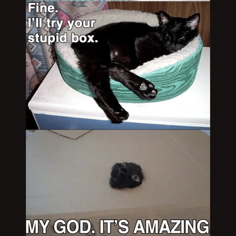 Fine. I'll try your stupid box. MY GOD. IT'S AMAZING