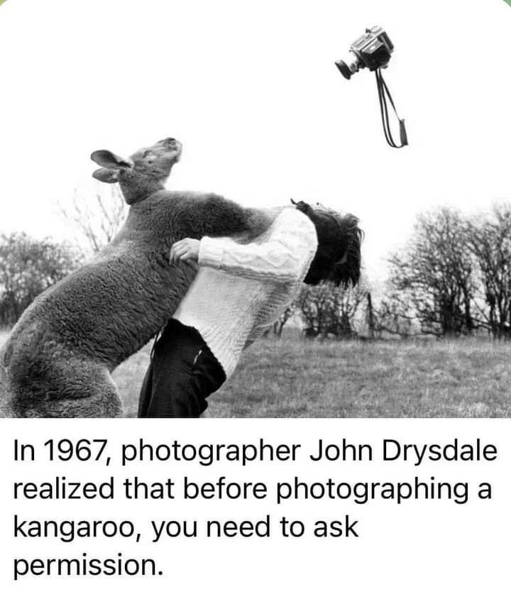 In 1967, photographer John Drysdale realized that before photographing a kangaroo, you need to ask permission.