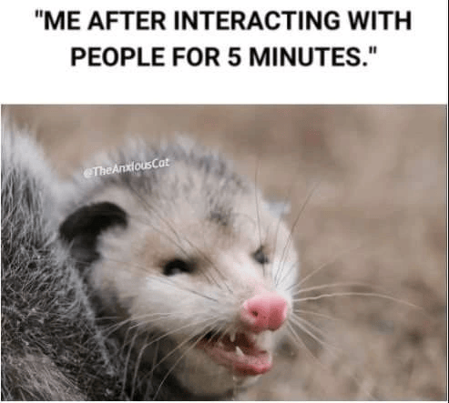 "ME AFTER INTERACTING WITH PEOPLE FOR 5 MINUTES." @TheAnxious Cat