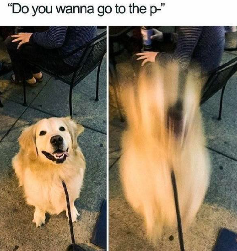 "Do you wanna go to the p-"