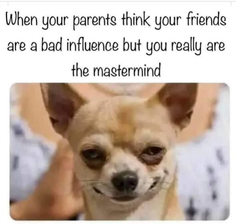 When your parents think your friends are a bad influence but you really the mastermind are