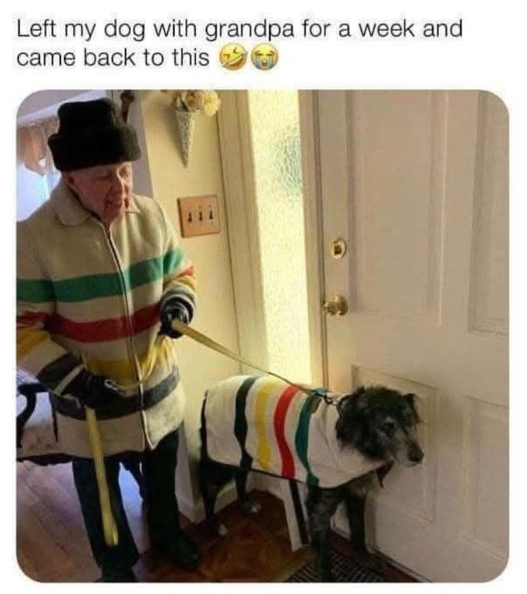 Left my dog with grandpa for a week and came back to this