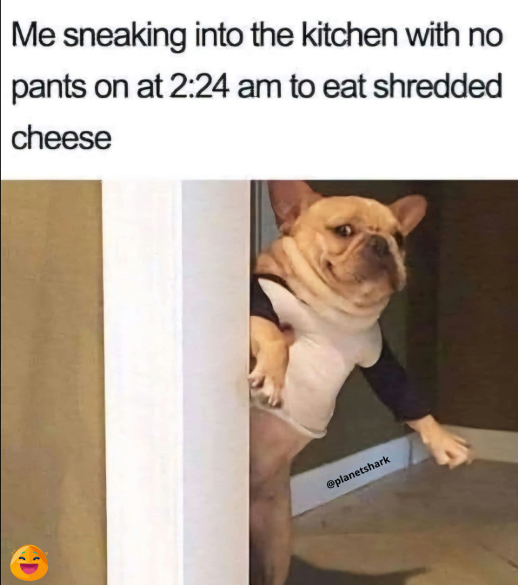 Me sneaking into the kitchen with no pants on at 2:24 am to eat shredded cheese @planetshark