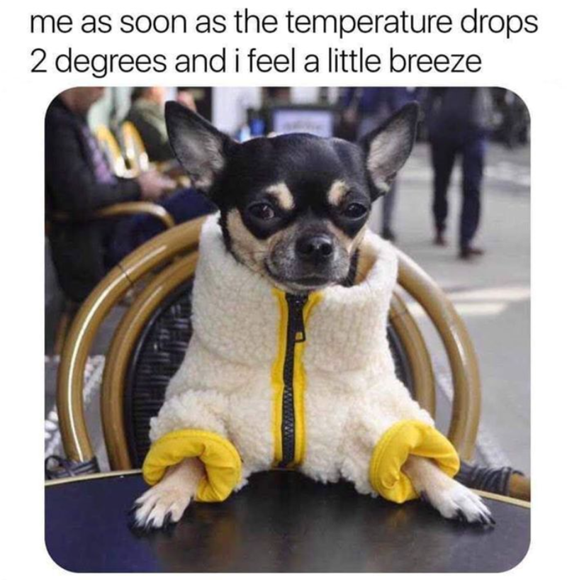 me as soon as the temperature drops 2 degrees and i feel a little breeze