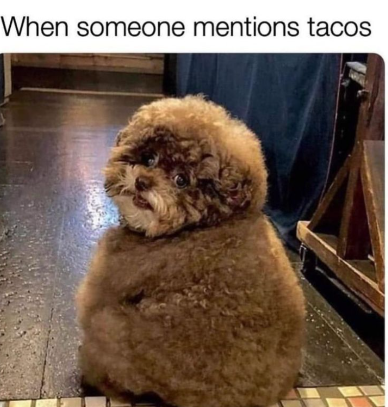 When someone mentions tacos