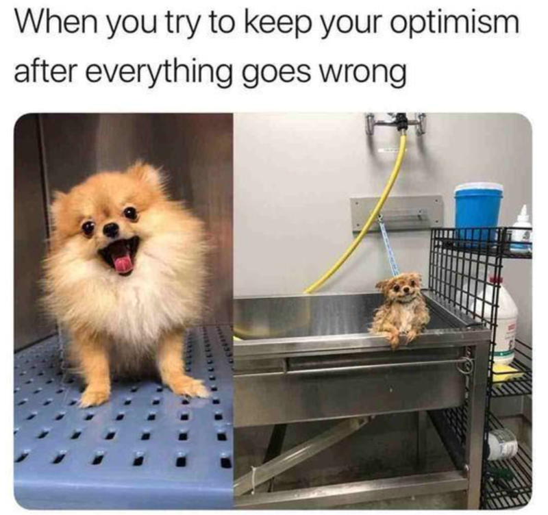 When you try to keep your optimism after everything goes wrong
