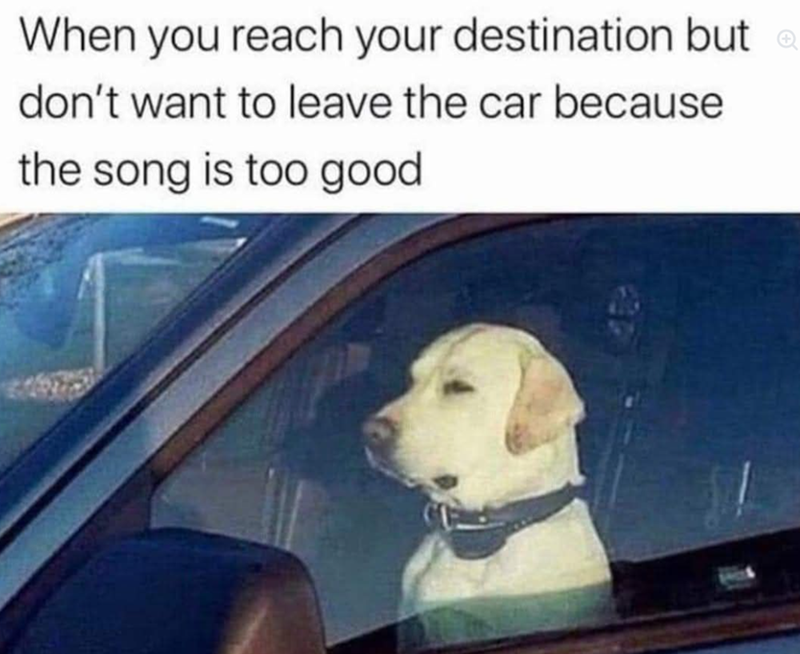 When you reach your destination but don't want to leave the car because the song is too good