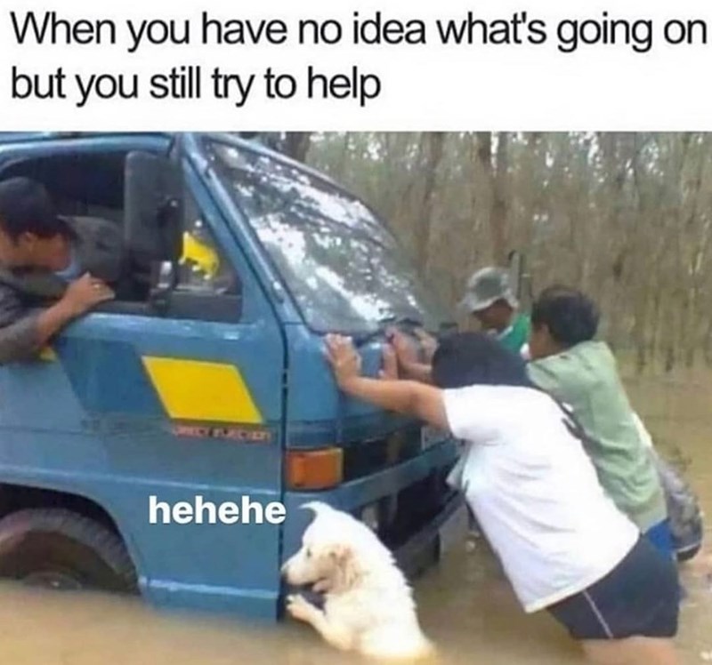 When you have no idea what's going on but you still try to help 603 hehehe