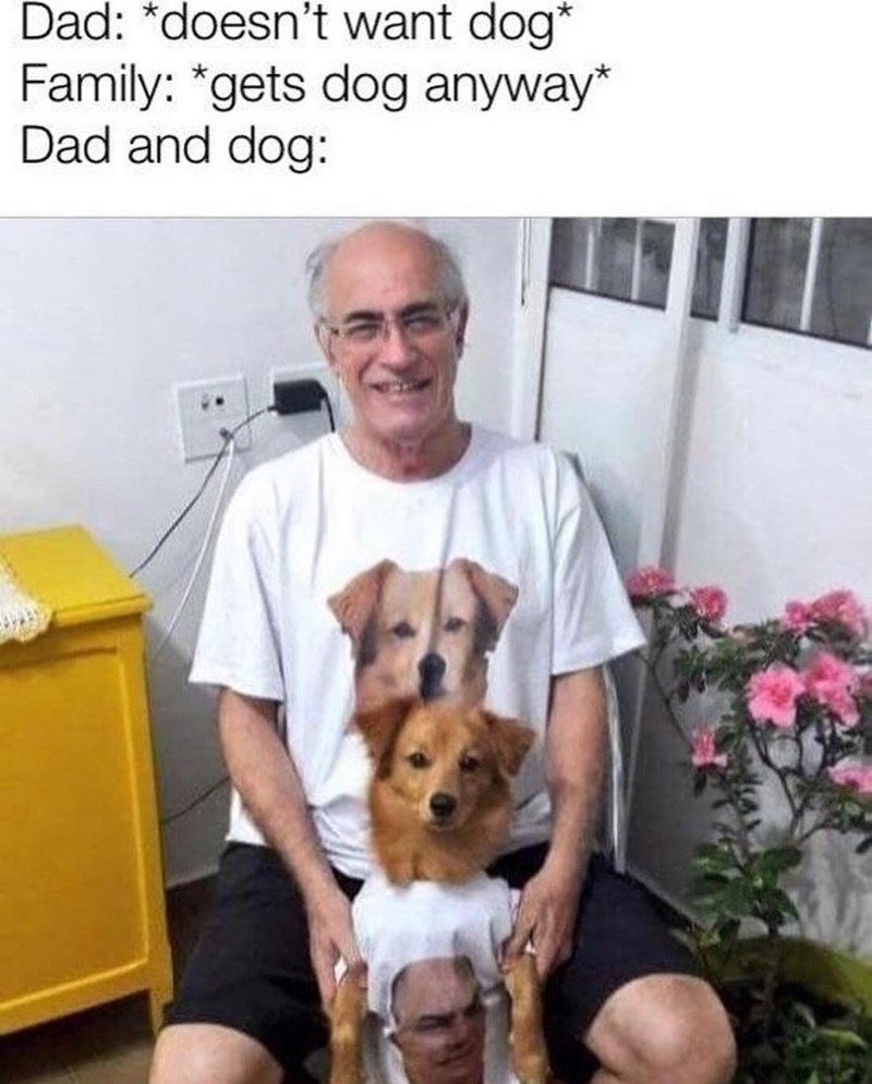 Dad: *doesn't want dog* Family: *gets dog anyway* Dad and dog: