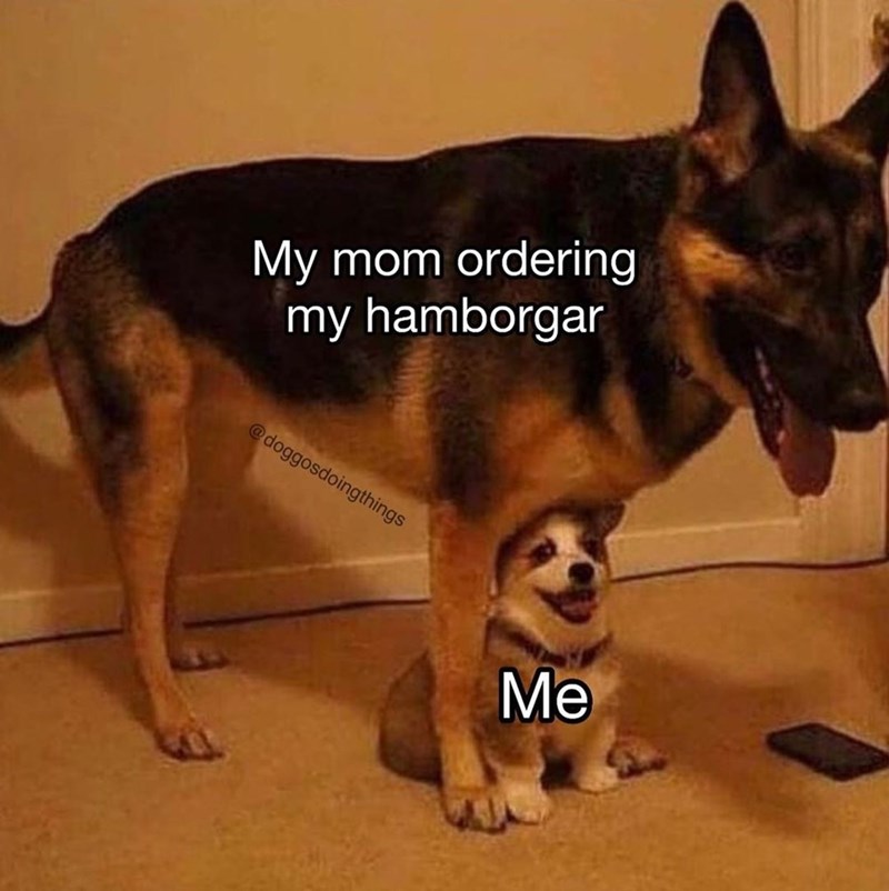My mom ordering my hamborgar @doggosdoingthings Me