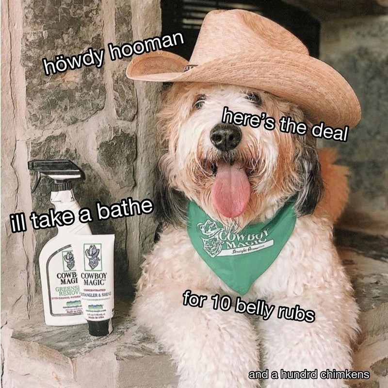höwdy hooman here's the deal ill take a bathe Straight Ar COWB COWBOY MAGI MAGIC GENSI CONCENTRATED ANGLER & SHINE MALISA for 10 belly rubs and a hundrd chimkens