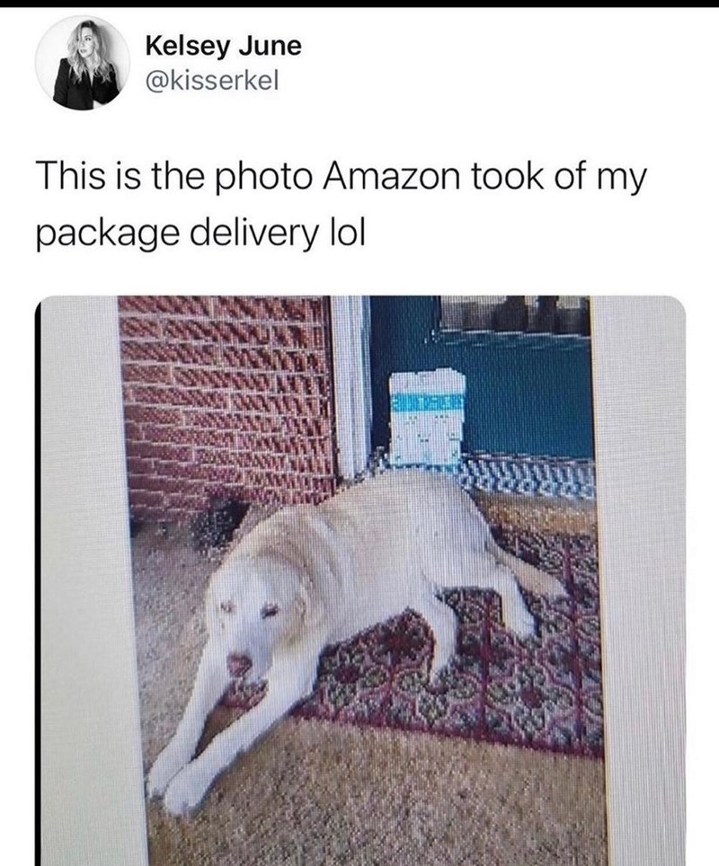 Kelsey June @kisserkel This is the photo Amazon took of my package delivery lol