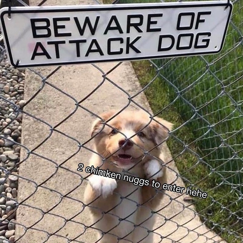 BEWARE OF ATTACK DOG. 2 chimken nuggs to enter hehe