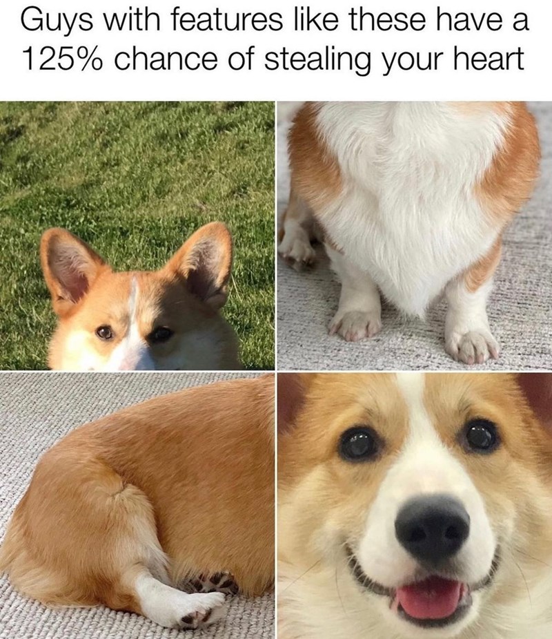 Guys with features like these have a 125% chance of stealing your heart