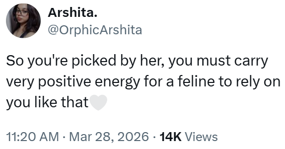 Arshita. @OrphicArshita So you're picked by her, you must carry very positive energy for a feline to rely on you like that 11:20 AM · Mar 28, 2026 14K Views