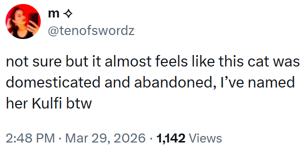 m @tenofswordz not sure but it almost feels like this cat was domesticated and abandoned, I've named her Kulfi btw 2:48 PM · Mar 29, 2026 1,142 Views •