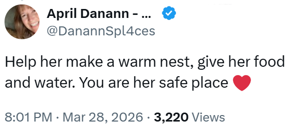 April Danann - ... @DanannSpl4ces Help her make a warm nest, give her food and water. You are her safe place 8:01 PM Mar 28, 2026 3,220 Views