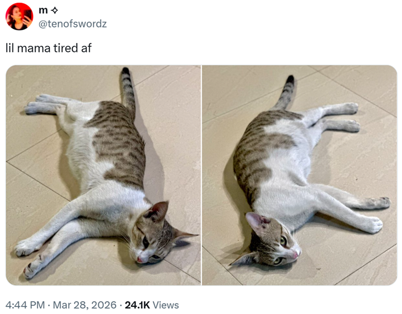m @tenofswordz lil mama tired af 4:44 PM · Mar 28, 2026 · 24.1K Views