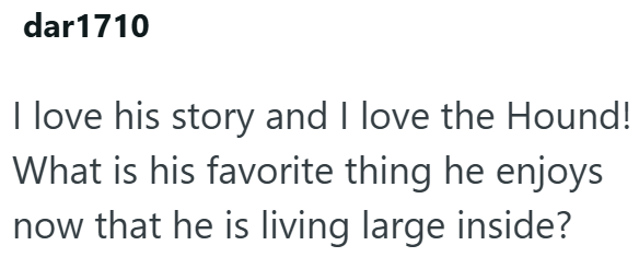 dar1710 I love his story and I love the Hound! What is his favorite thing he enjoys now that he is living large inside?