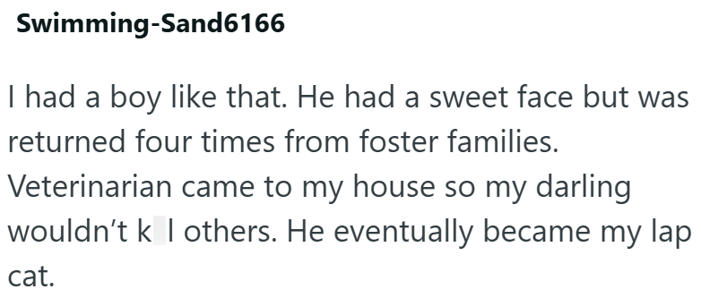 Swimming-Sand6166 I had a boy like that. He had a sweet face but was returned four times from foster families. Veterinarian came to my house so my darling wouldn't k l others. He eventually became my lap cat.