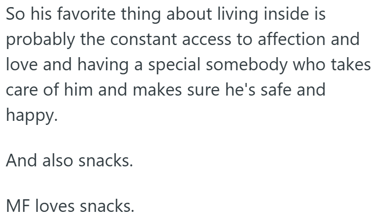 So his favorite thing about living inside is probably the constant access to affection and love and having a special somebody who takes care of him and makes sure he's safe and happy. And also snacks. MF loves snacks.