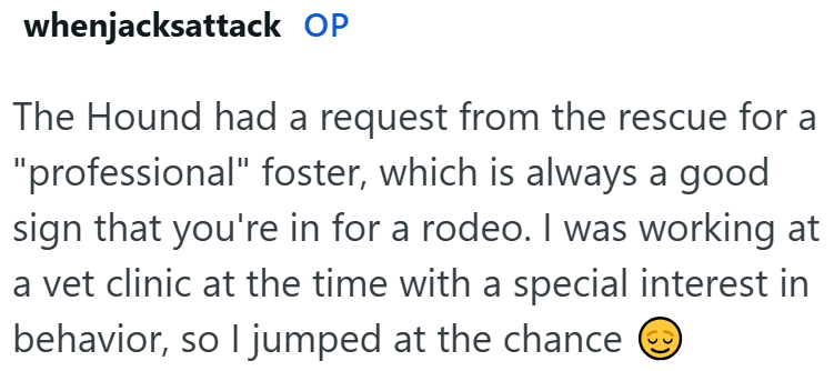 whenjacksattack OP The Hound had a request from the rescue for a "professional" foster, which is always a good sign that you're in for a rodeo. I was working at a vet clinic at the time with a special interest in behavior, so I jumped at the chance ②