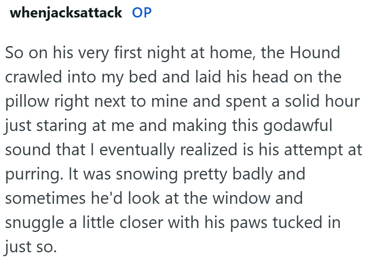 whenjacksattack OP So on his very first night at home, the Hound crawled into my bed and laid his head on the pillow right next to mine and spent a solid hour just staring at me and making this godawful sound that I eventually realized is his attempt at purring. It was snowing pretty badly and sometimes he'd look at the window and snuggle a little closer with his paws tucked in just so.