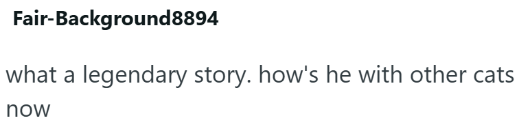 Fair-Background8894 what a legendary story. how's he with other cats now