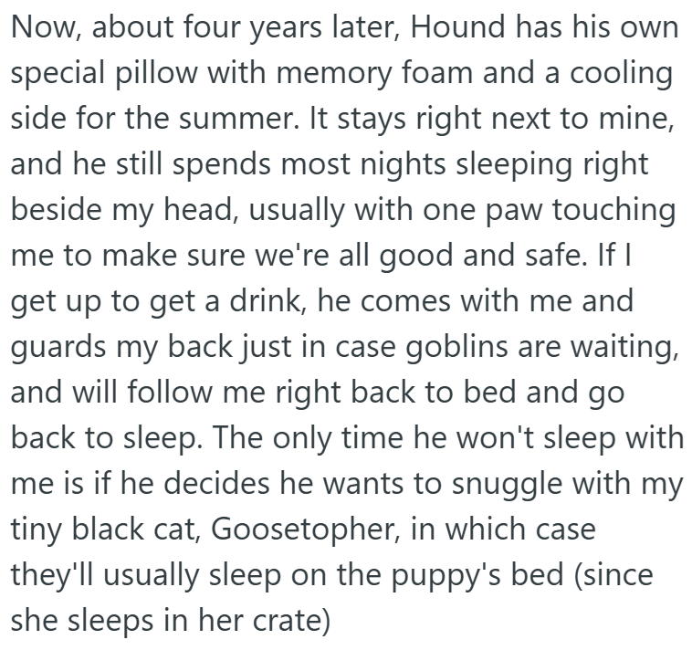 Now, about four years later, Hound has his own special pillow with memory foam and a cooling side for the summer. It stays right next to mine, and he still spends most nights sleeping right beside my head, usually with one paw touching me to make sure we're all good and safe. If I get up to get a drink, he comes with me and guards my back just in case goblins are waiting, and will follow me right back to bed and go back to sleep. The only time he won't sleep with me is if he decides he wants to