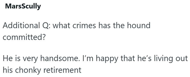 MarsScully Additional Q: what crimes has the hound committed? He is very handsome. I'm happy that he's living out his chonky retirement