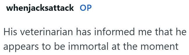 whenjacksattack OP His veterinarian has informed me that he appears to be immortal at the moment