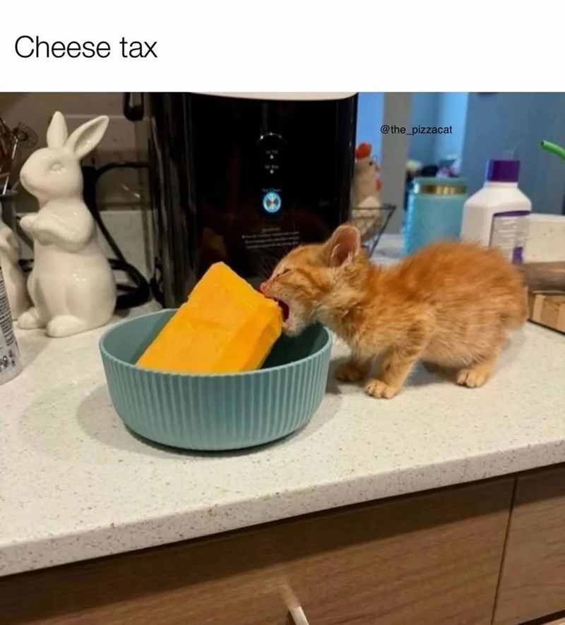 Cheese tax @the_pizzacat