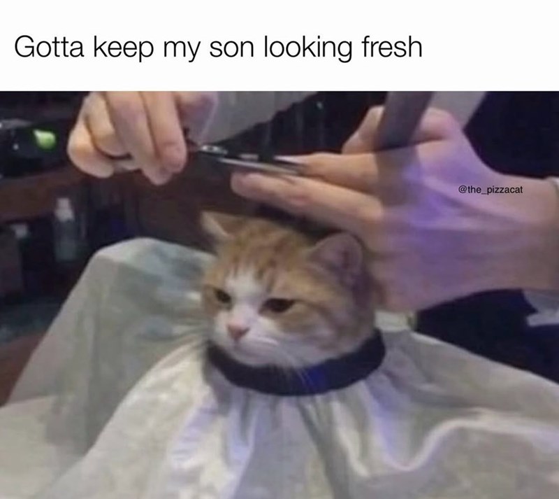 Gotta keep my son looking fresh @the_pizzacat