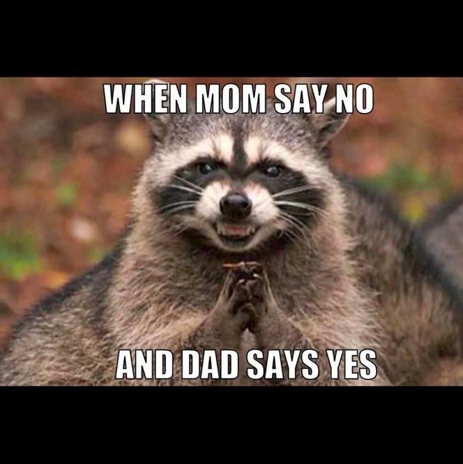 WHEN MOM SAY NO AND DAD SAYS YES