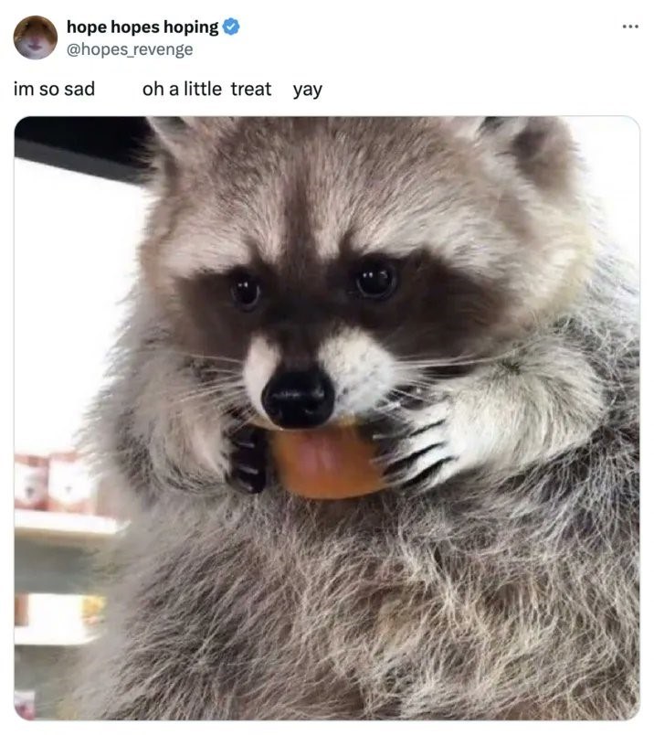 hope hopes hoping @hopes revenge im so sad oh a little treat yay