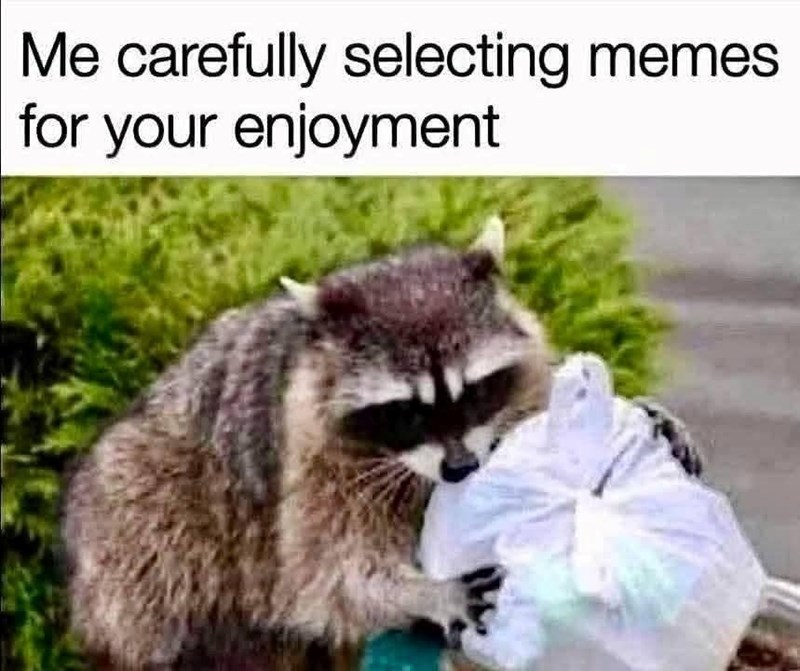 Me carefully selecting memes for your enjoyment