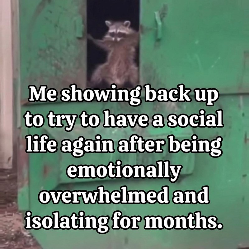 Me showing back up to try to have a social life again after being emotionally overwhelmed and isolating for months.