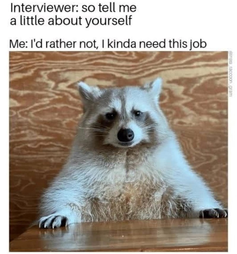 Interviewer: so tell me a little about yourself Me: I'd rather not, I kinda need this job @insta_raccoon gram