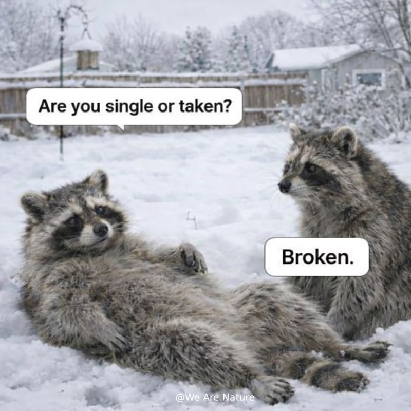 Are you single or taken? @We Are Nature Broken.