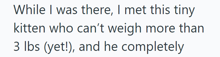 While I was there, I met this tiny kitten who can't weigh more than 3 lbs (yet!), and he completely