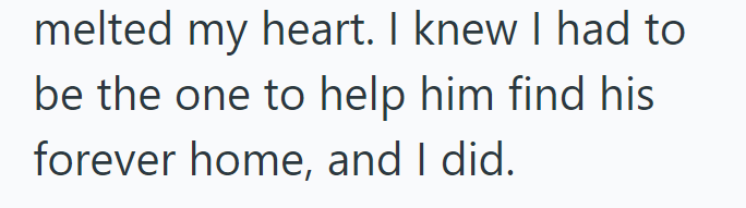 melted my heart. I knew I had to be the one to help him find his forever home, and I did.