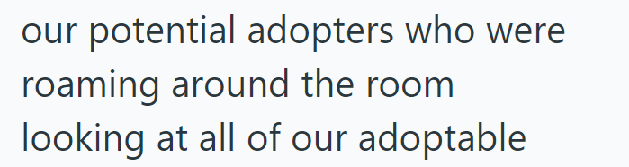 our potential adopters who were roaming around the room looking at all of our adoptable