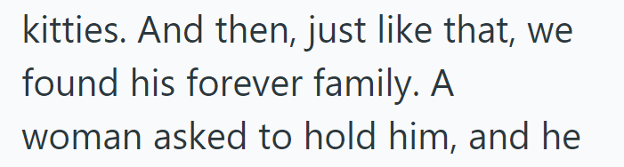 kitties. And then, just like that, we found his forever family. A woman asked to hold him, and he
