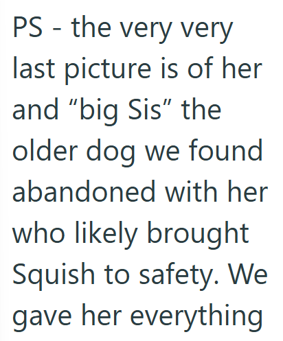 PS the very very - last picture is of her and "big Sis" the older dog we found abandoned with her who likely brought Squish to safety. We gave her everything